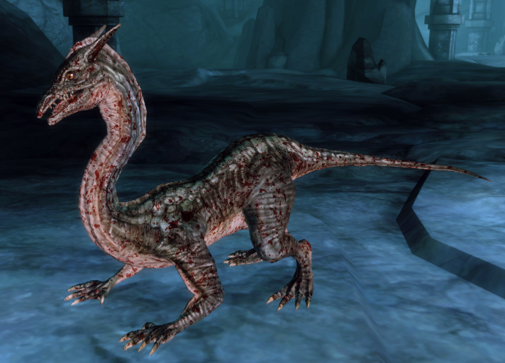 Dragon, Dragon Age Wiki