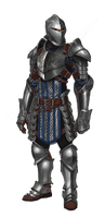 Grey Warden warrior