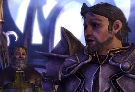 Dragon Age Origins - Elven Mage (Mod) Dalish Origin - Getting Conscripted  by Duncan 