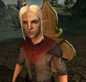 Paivel's vallaslin is almost exactly the same in Dragon Age 2 (complex version)