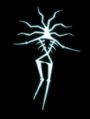 Bellitanus