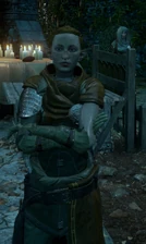 Charter in Caer Bronach