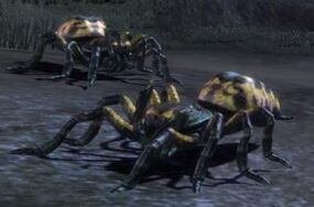 Giant spiderlings