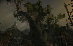 Dragon Age: Origins, Elven Alienage All Quests