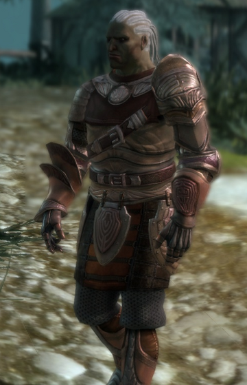 Warden Commander armor set, Dragon Age Wiki, Fandom