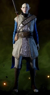 Solas in the armor