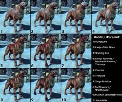 DAO Dog - Kaddis and Warpaint comparison