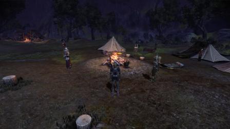 Companions in Denerim, Dalish Camp and Lothering