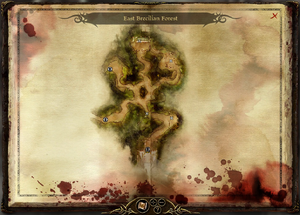 Map-East Brecilian Forest