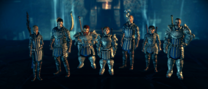 Dragon Age: Origins - Awakening companions