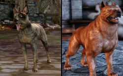 Mabari Gift  Dragon age characters, Dragon age series, Dragon age origins