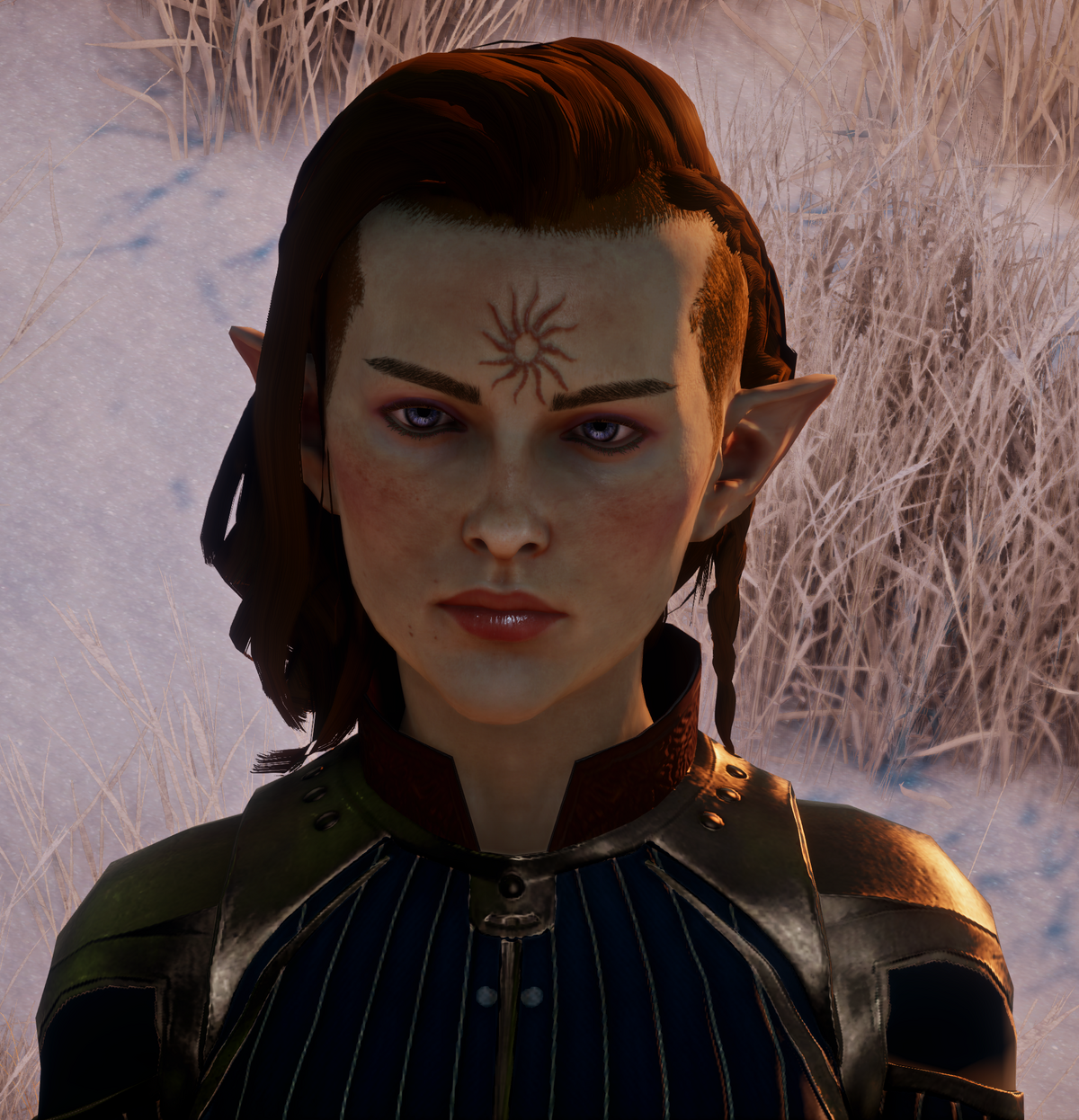 Changing One's Nature, Dragon Age Wiki