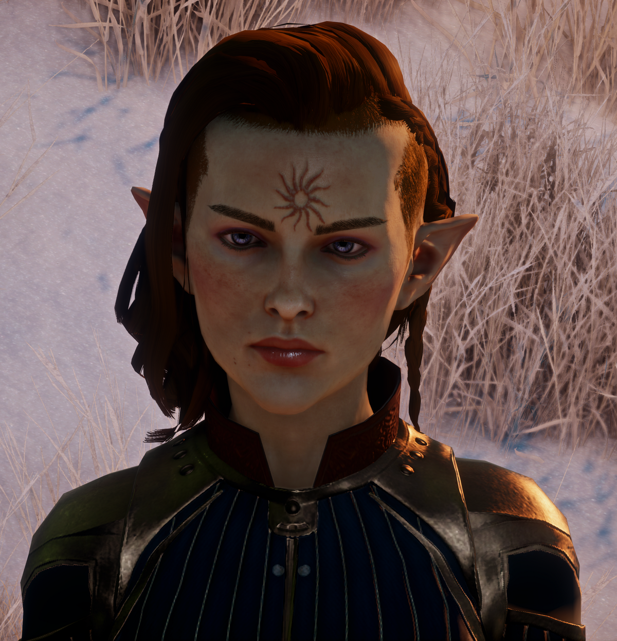 Mages' Collective, Dragon Age Wiki