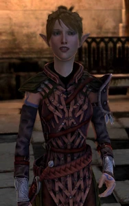 Athenril in Rüstung