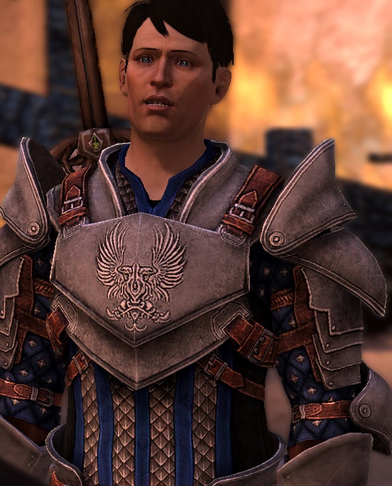 The Warden, Dragon Age Wiki