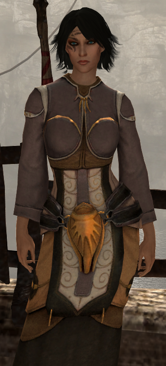 War Mage Robes - Circle Bound | Dragon Age Wiki | Fandom