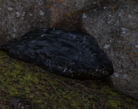 Eine Onyxader in den Hinterlanden