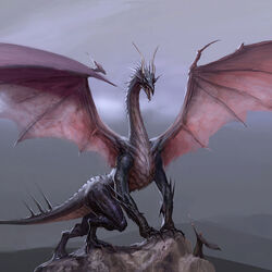 Category:Dragon Age: Origins tomes, Dragon Age Wiki
