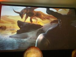 PAXAUS QUNARI DRAGON