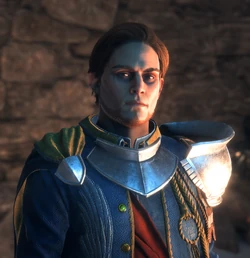 The former mayor of D'Meta's Crossing as a Warden in the Hossberg Wetlands