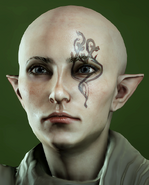 Sylaise vallaslin in Inquisition (simple version)