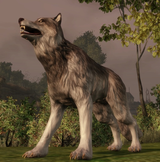 WolfShop at Dragon Age: Origins - mods and community