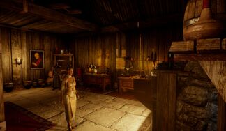 Inside Haven's apothecary