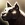 Cg ico race dog