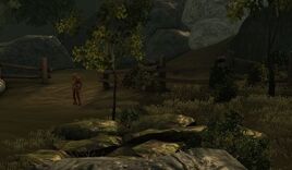 Area-AbandonedMeadow