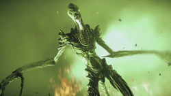 Nightmare DAI