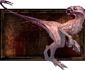 DeepStalker.gif