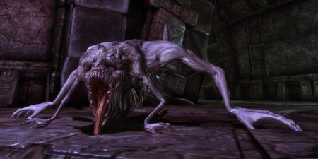 der Ernter in Die Golems von Amgarrak