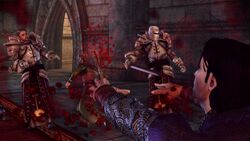 Mages' Collective - - Dragon Age: Origins Nightmare Guide - Sorcerer's Place