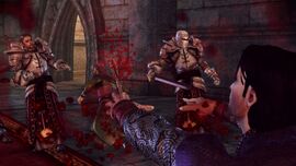 Blood Magic (Dragon Age II), Dragon Age Wiki