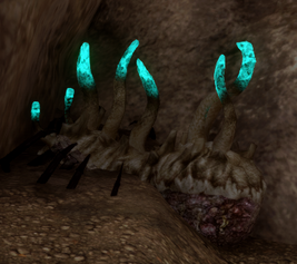 Deep Mushroom (Inquisition)