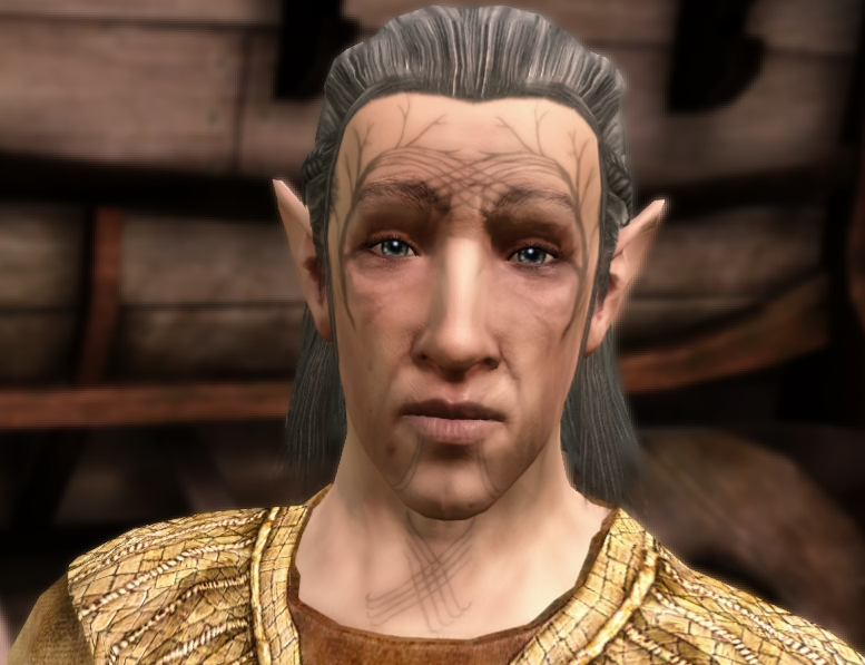 Tomes (Origins), Dragon Age Wiki