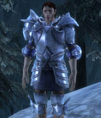 Warden Commander armor set, Dragon Age Wiki, Fandom