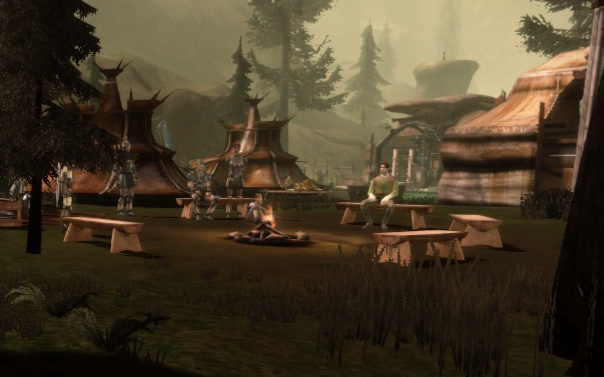 Companions in Denerim, Dalish Camp and Lothering