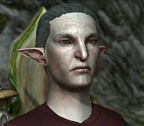 Master Ilen DA2