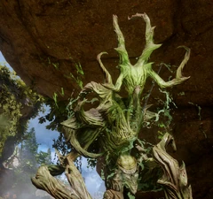 Ein Höherer Schrecken (Nahansicht)