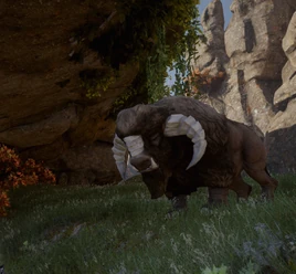 Wo die Bisents grasen - Druffy