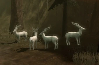 Halla Dragon Age Wiki Fandom