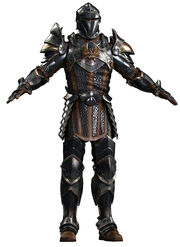 Grey Warden's armor from Warden's Calling trailer