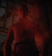 Solas in seiner Zelle