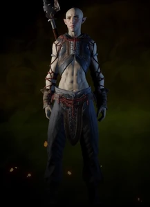 Solas in der Rüstung