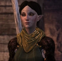 Merrill: Eine Elfin und die Erste eines Clans der Dalish Dialoge/Einfluss