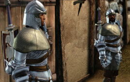 NPC-Guards