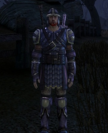 Warden Commander armor set, Dragon Age Wiki, Fandom