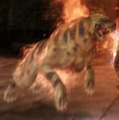 Burning hound