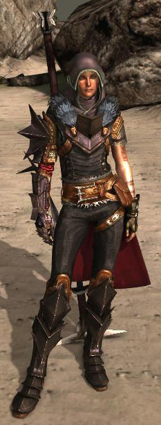 armor of the champion dragon age 2 armor of the champion dragon age 2